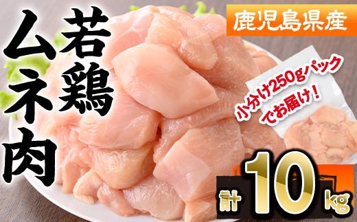 鹿児島県産若鶏ムネ肉(計10kg・250g×40P) 若鶏 ムネ 冷凍【株式会社羽根】A1091