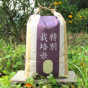 【令和7年産】『タガメの里・自然米』ぴかまる 白米10kg 【有機JAS認証米】 | お米 おこめ 米 コメ こめ ぴかまる 白米 精米 有機JAS認証米 兵庫県 上郡町