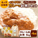 【ふるさと納税】新米 令和6年産 定期 お米ヒノヒカリ5kg＋カレー4袋 ×4回コース 奈良市 なら 96-001