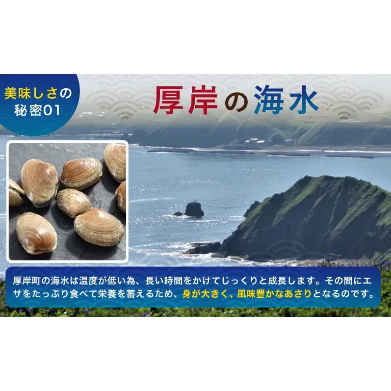 あさり 簡単 お手軽 北海道 厚岸産 天然 ブランチング加工 3D 冷凍 大あさり 500g ×1パック 貝 海鮮 魚介類