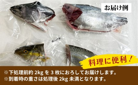 【全4回定期便】旬の地魚セット2-3人前（3枚卸し）真空パック 五島市/五島FF[PBJ001]  冷蔵 鮮魚 魚介 魚 鮮魚 魚 定期便