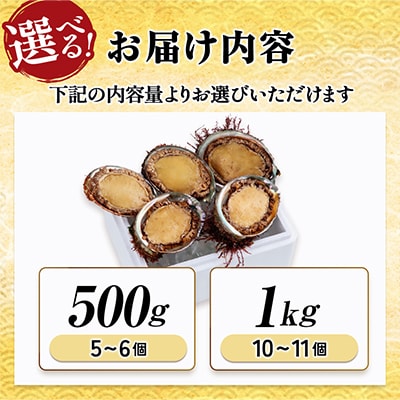 【先行予約】三陸重茂産　天然 蝦夷あわび(2号品) 1kg(冷凍)【配送不可地域：離島】