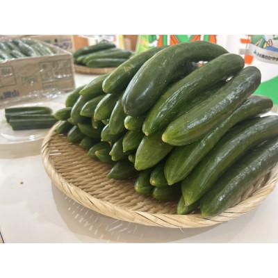 ふるさと納税 久米南町 久米南町産　里海きゅうり 約5kg　50本以上