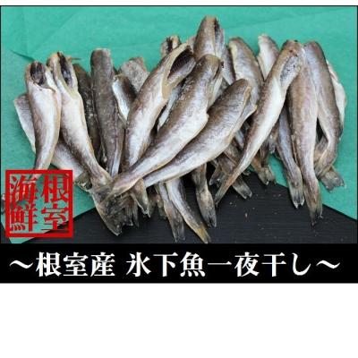 ふるさと納税 根室市 ＜12/21まで年内配送＞★生干しこまい500g×4P A-57033
