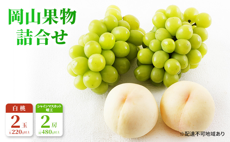 桃 ぶどう 2026年 先行予約 果物 詰合せ 白桃 2玉（1玉220g以上）シャインマスカット 晴王 2房（1房480g以上）化粧箱入り 岡山県産 国産 フルーツ ギフト フルーツ詰め合わせ 贈答品 セット 