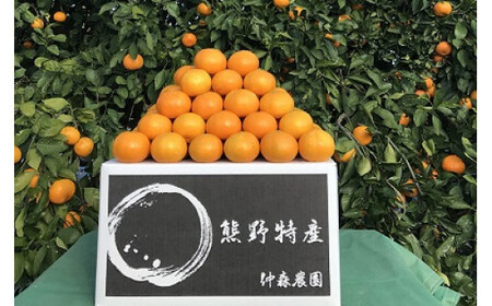 みかん 完熟熊野みかん 10kg【仲森農園】【nkmr0002】