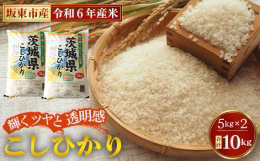 No.669 令和6年産　こしひかり10kg【坂東市産】 ／ コシヒカリ お米 こめ 茨城県