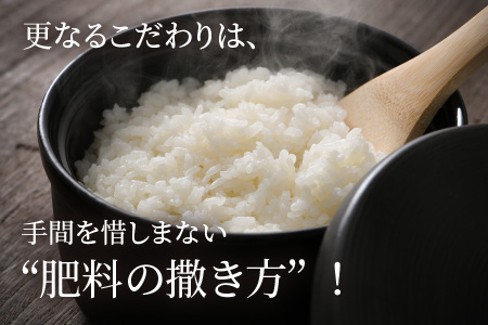 【令和5年産】【12ヶ月連続お届け】【特別栽培米】福井県産 コシヒカリ 10kg ～化学肥料にたよらない有機肥料100%～ ネオニコフリー （白米） [O-13401_01]