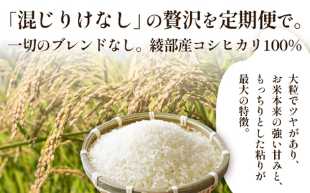 【定期便6回】丹波美人 白米 10kg（5kg×2）×6回 / 米 白米 定期便 綾部市 / 有限会社カメイ［BSDY052］