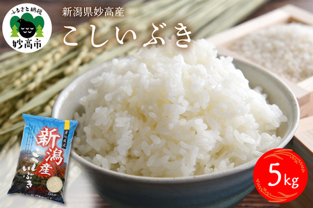 【2026年3月中旬発送】令和7年産 新潟県妙高産こしいぶき5kg 白米 精米 お取り寄せ 5キロ 新潟 妙高市 小出農場