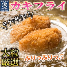 【発送月固定定期便】サクサクッ!国産大粒カキフライ20粒(約500g)(岡垣町)全4回