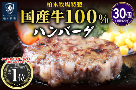 柏木牧場特製 国産牛100%ハンバーグ (120g×30個)｜国産 ハンバーグ 冷凍 グルメ ギフト お惣菜 惣菜 大容量 [0069]