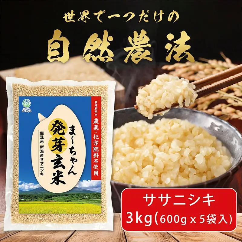 先行予約 発芽玄米 ササニシキ 3kg(600gx5袋)   令和8年 無農薬 新潟県産 発芽玄米