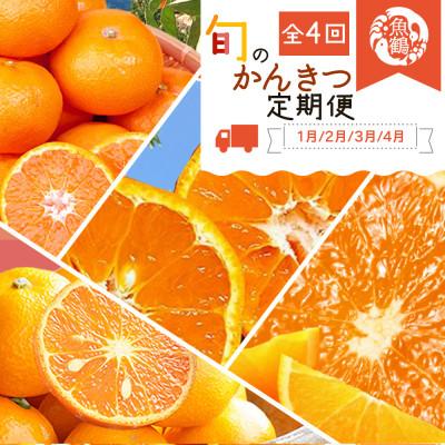ふるさと納税 かつらぎ町 【発送月固定定期便】紀州和歌山産旬のご家庭用柑橘セット(みかん・不知火・せとか・清見)全4回