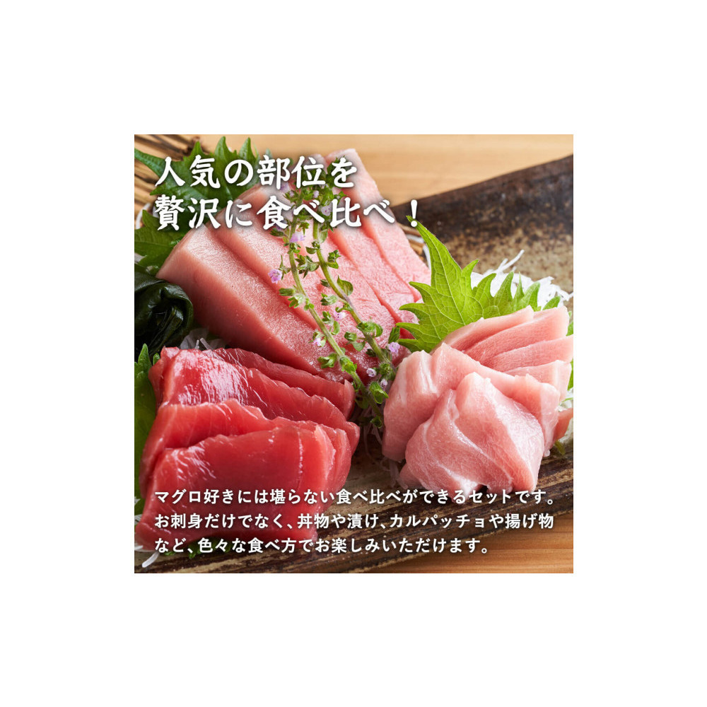 天然本マグロ(黒マグロ)　2点セット(大トロ・中トロ)600～650g