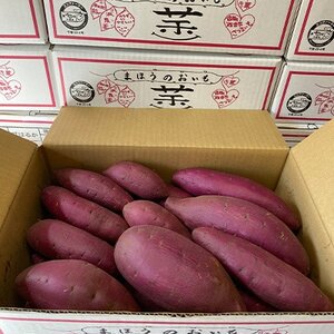 【先行受付】【訳あり】香取市産 さつまいもシルクスイート 約10kg×1【配送不可地域：離島・沖縄県】【1099066】