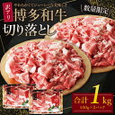 【ふるさと納税】【訳あり】 博多和牛切り落とし1kg （500g×2パック） 規格外 牛肉 国産牛 人気 大好評 切落し 赤身 小分け 冷凍 送料無料 U61-46