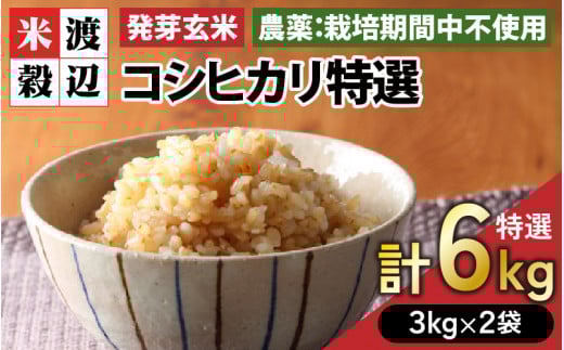 【令和7年産】発芽玄米 コシヒカリ「特選」特別栽培米使用 3kg×2袋（計6kg）【米 こしひかり 玄米 ギャバ GABA 特別栽培 食物繊維 栄養 真空パック ごはん ご飯 おいしい ふるさと納税米】 [D-2927]