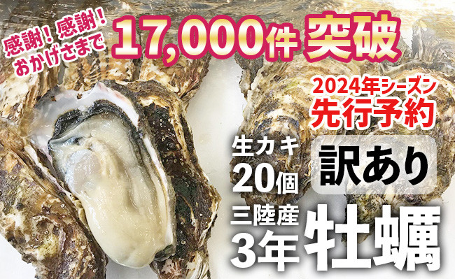 【訳あり規格外品】三陸広田湾の殻付き牡蠣20個