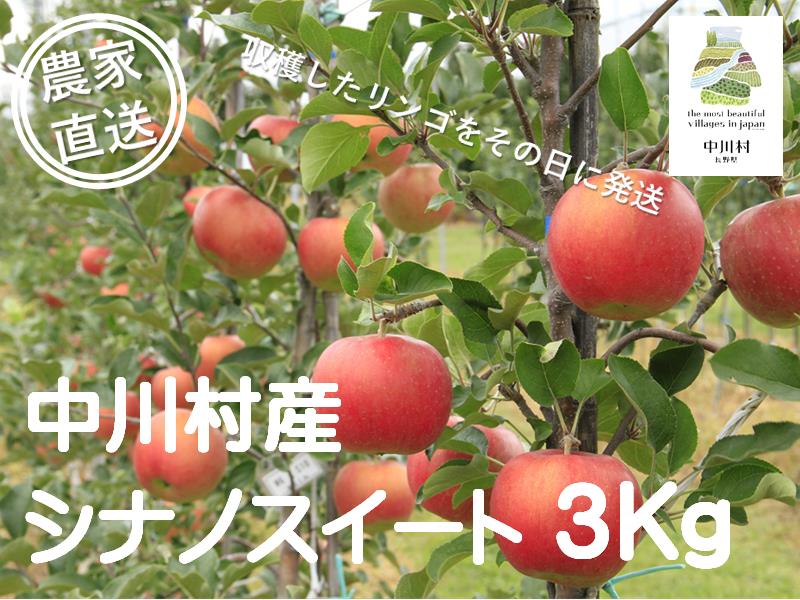 担当者おすすめ「味覚の里なかがわ」の旬のくだもの（シナノスイート３Kg箱）10月中下旬発送予定