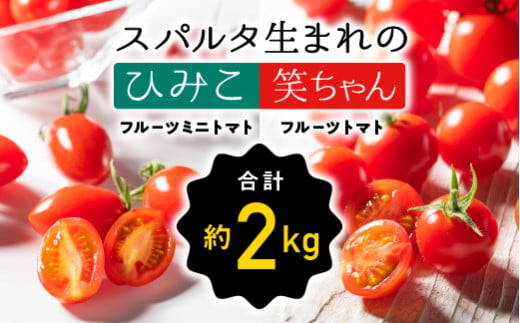 【先行予約】【2024年11月発送】 スパルタ生まれの笑ちゃん フルーツトマト 約1kg＆スパルタ生まれのひみこ フルーツミニトマト 約1kgセット【配送不可：離島】【GC-24】｜送料無料 笑ちゃん フルティカ ひみこ ミニトマト フルーツトマト 野菜 トマト サラダ 完熟 果皮 ぷりぷり 甘味 旨味 濃厚 絶品 贈物 ギフト プレゼント 産地直送 江津市｜