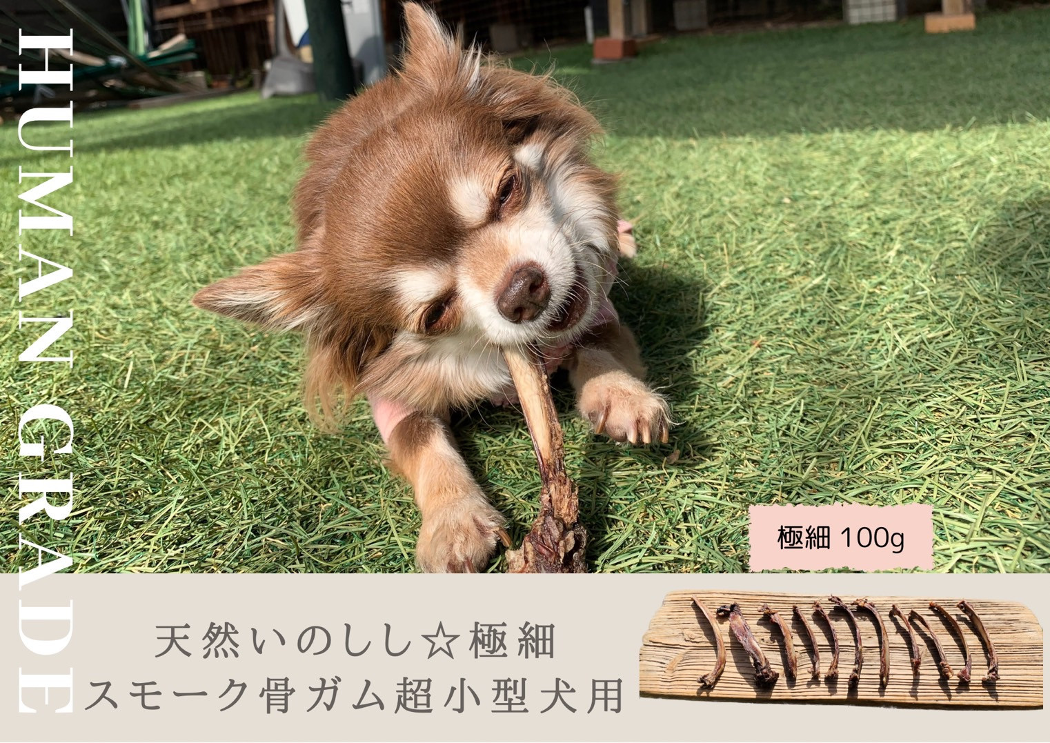 
FB077 超小型犬向け☆天然いのししのスモーク骨ガム100g
