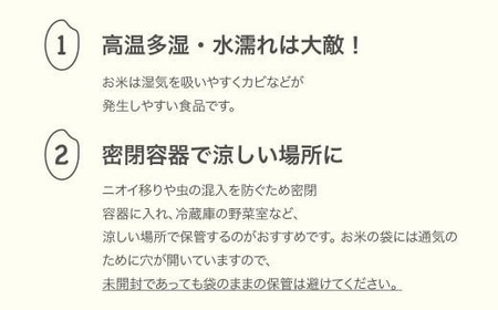 新米 米 5kg 5kg×1 はえぬき 玄米 令和7年産 2025年産 山形県産 送料無料 ※沖縄・離島への配送不可 mk-haxxa5-g