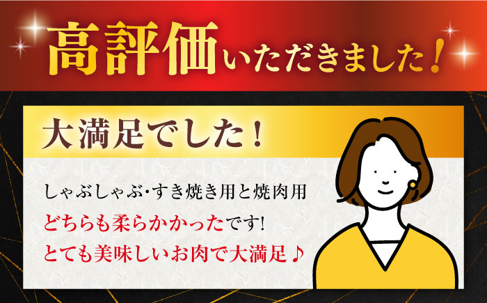 【12回定期便】佐賀牛 A5 堪能セット (しゃぶしゃぶ すき焼き用 ・ 焼肉用) 計1.6kg(400g×4P) 【桑原畜産】 [NAB101]