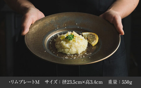 【美濃焼】 恩田陽子 リムプレート 皿 3色×3サイズ 計9点セット グリーン ゴールド パープル S M L 瑞浪市 / JS企画 食器 プレート おしゃれ セット [AZAZ030]