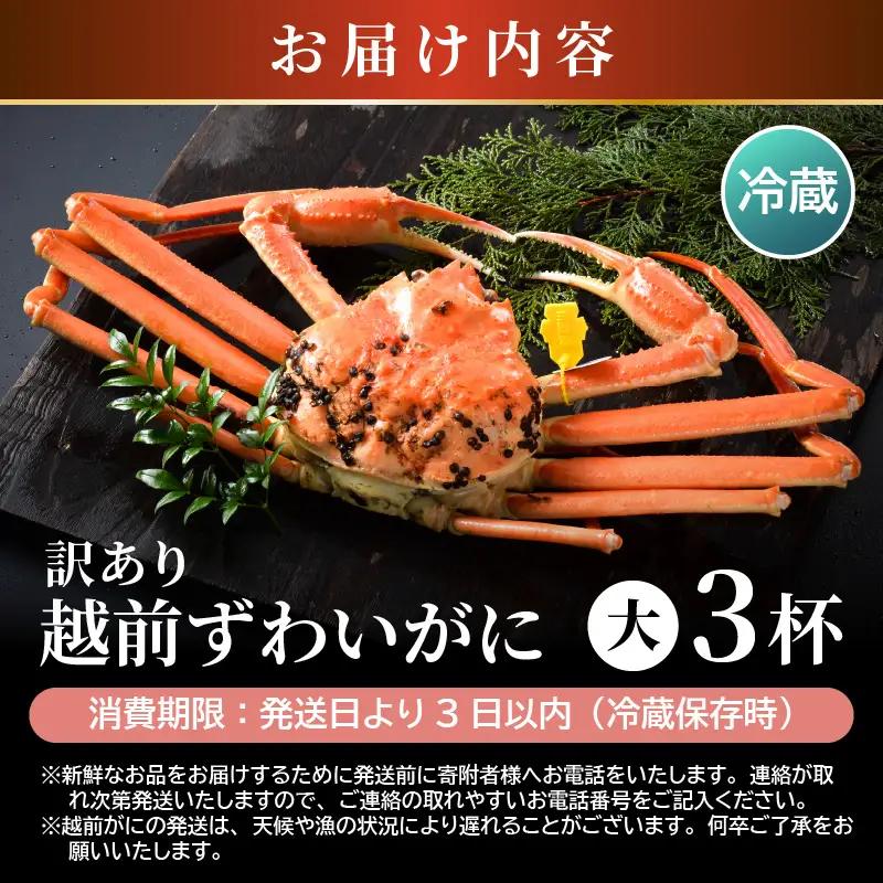 越前蟹 訳あり 茹で 越前ズワイガニ 大 3杯 脚折れ 【2月発送分】 [O-1403_02]