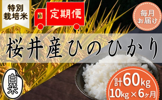 M-JEC1.【白米】桜井市高家産 ヒノヒカリ 10kg×6回【毎月のお届け】