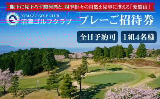 ゴルフ プレー 招待券 1組 4名 1ラウンド 全日 予約 好アクセス 昼食付き ゴルフ場利用券 プレー券 施設利用券 ごるふ golf ギフト プレゼント 贈答 父の日 沼津市 沼津ゴルフクラブ