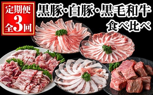 ＜定期便・全3回＞黒豚・白豚・黒毛和牛の定期便 (合計3.2kg) 豚肉 牛肉 冷凍【KNOT】 T65