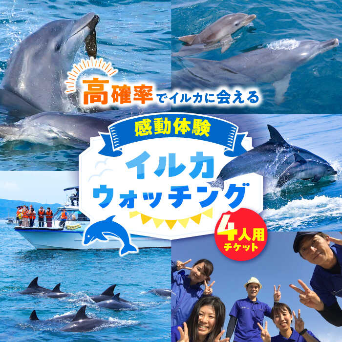 【ふるさと納税】南島原 イルカウォッチング 4人用チケット / チケット ちけっと 体験型 観光チケット いるか イルカ イルカ体験 貸し切り / 南島原市 / 南島原イルカウォッチング[SAE002]