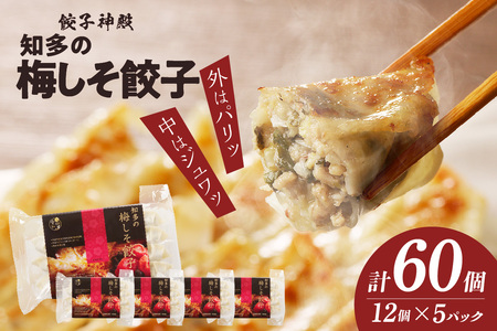 知多の梅しそ餃子 餃子 愛知県産 ご当地餃子 国産 生餃子 梅 梅しそ おかず ぎょうざ ギョウザ 冷凍食品 お惣菜 豚肉 中華 点心 お取り寄せ おつまみ 国産野菜 贈答用 便利 焼くだけ お手軽 