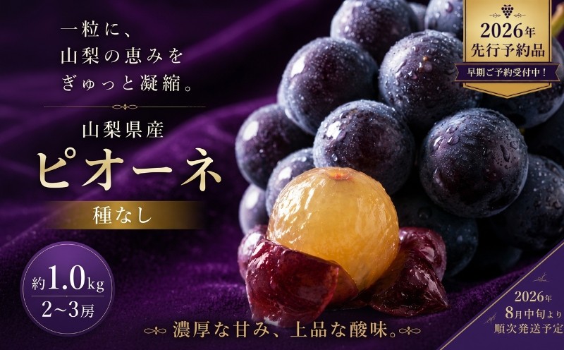 
                  【2026年 発送！】山梨県産 種なし ピオーネ 2～3房 (約1.0Kg）【アズールヤード】| 2～3房  山梨 やまなし 葡萄 ブドウ フルーツ 果物 くだもの ぶどう  デザート スイーツ 黒葡萄 黒ブドウ 黒ぶどう 濃厚 2026
                