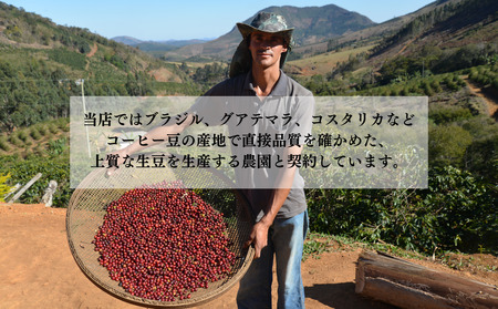 ブラジル珈琲鑑定士おすすめ！ 自家焙煎珈琲 極上 スペシャルティセット ギフト 贈り物 プレゼント 人気 厳選 コーヒー 袋井市 （粉）