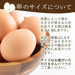No.779 ＜定期便・全6回(連続)＞鹿児島県産美山オリーブ卵(10個×4P×6ヶ月連続)【美山たまご王国】