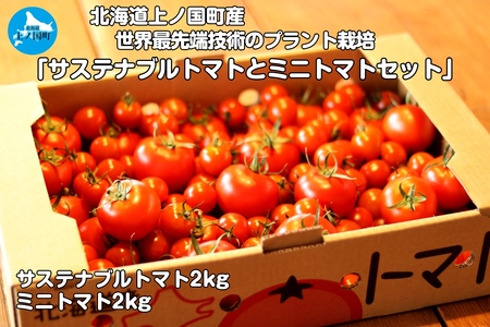 寅福菜園のサステナブルトマト＆ミニトマトセット（各2㎏）