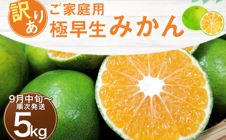 【先行予約】 訳あり 極早生みかん 5kg 期間限定 国産みかん 室戸みかん  【訳あり みかん 訳あり みかん】