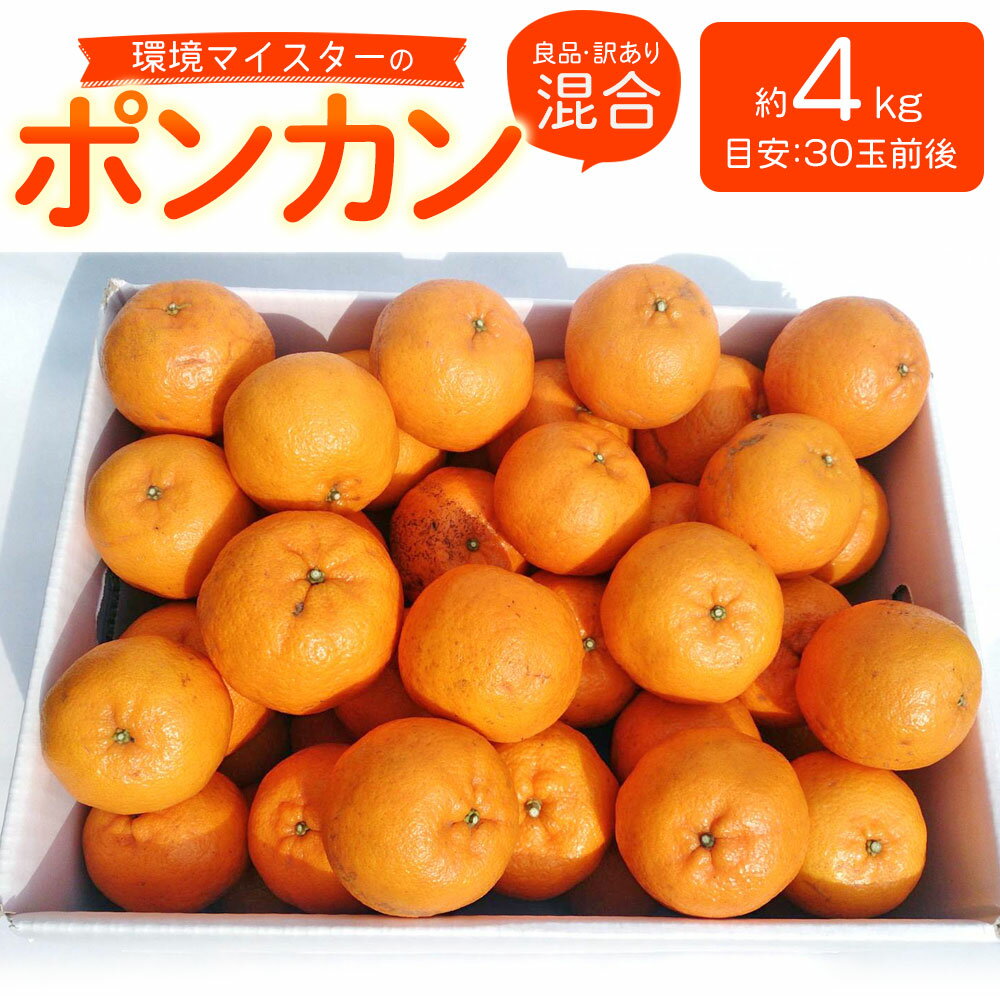【ふるさと納税】環境マイスターのポンカン 良品 訳あり 混合 約4kg 30玉前後 （栽培期間中は無肥料・農薬不使用） ポンカン みかん ミカン 蜜柑 果物 国産 九州産 熊本県産 送料無料【2026年1月下旬‐3月上旬迄順次発送予定】