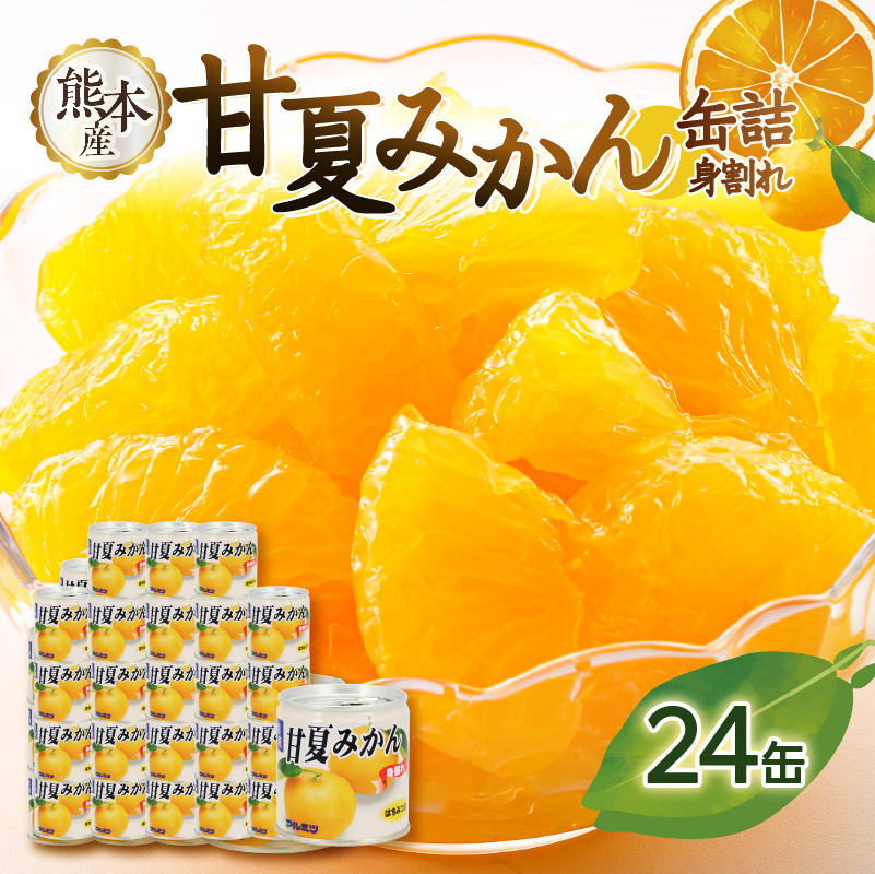甘夏みかん 缶詰 24缶入り（身割れ）