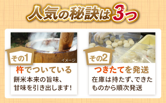 【順次発送】築上町産 本格 杵つき 生もち 20個 (10個×2パック)《築上町》【アルク農業サービス合同会社】 餅 お餅 もち [ABAB007]