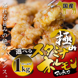 国産極みのスタミナホルモン マルチョウ タレ揉み 1kg ： 250×4袋 小分け タレ付き 小分け 味付き モツ 牛肉 焼肉 BBQ 肉 