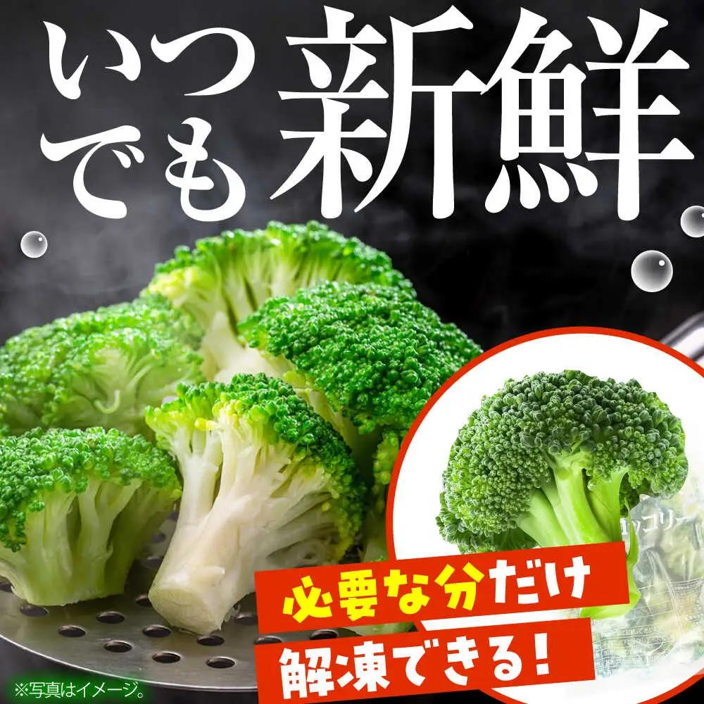 冷凍ブロッコリー 3kg 池田海陸物産 [SEW007] ブロッコリー