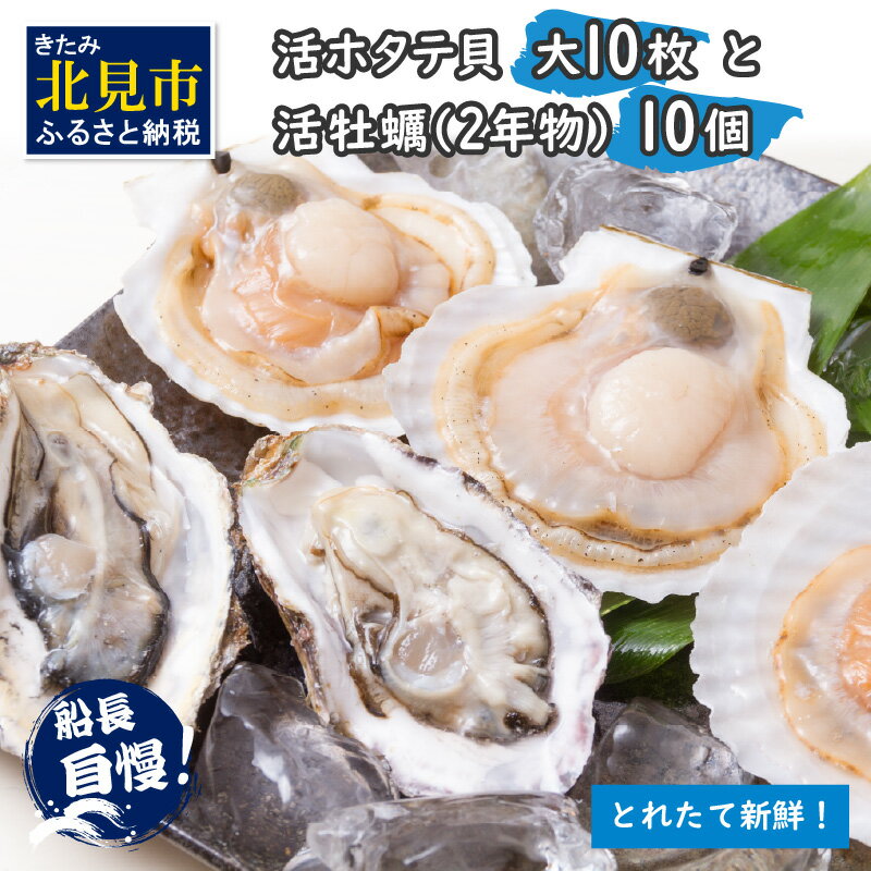 【ふるさと納税】【予約：2025年11月中旬から順次発送】活ホタテ貝 大 10枚・活牡蠣 2年物 10個