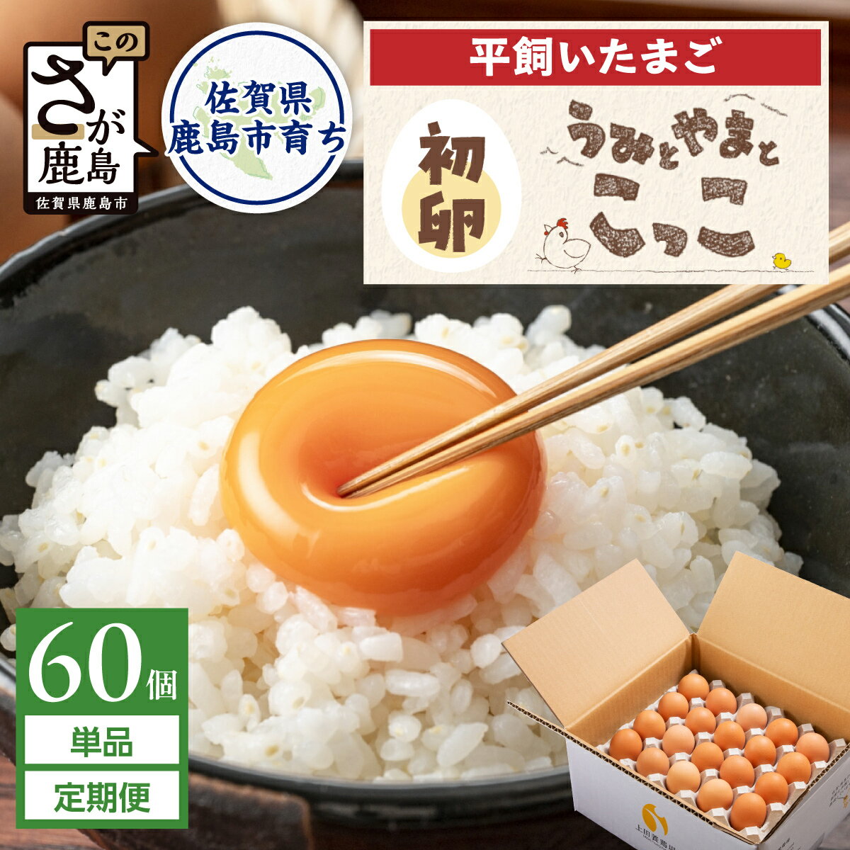 【ふるさと納税】＼初卵／平飼い卵「うみとやまとこっこ」 S・Mサイズ混合 上田養鶏場 生産者直送 | ふるさと納税 卵 平飼い たまご タマゴ 玉子 鶏卵 希少 ふるさと 産地直送 佐賀県 鹿島市 送料無料