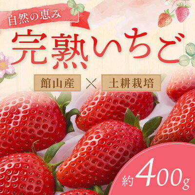 【ふるさと納税】【先行予約 2027年1月中旬以降発送】旬の品種を厳選 至福の完熟いちご 約400g 化粧箱入り【配送不可地域：離島・沖縄県】【1778750】