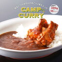 【ふるさと納税】【キャンプカレー】大容量300gのレトルトカレー10食セット！ ふるさと納税 カレー レトルト カレーライス キャンプ アウトドア 笛吹市 山梨県 送料無料 166-007