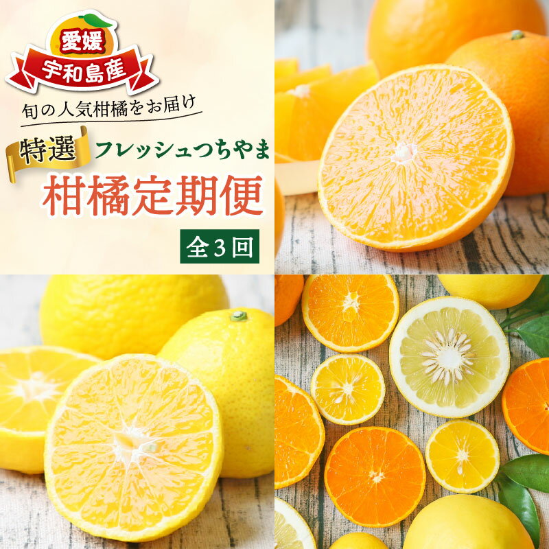 【ふるさと納税】 みかん定期便 特選 贈答用 旬 柑橘定期便 全3回 愛果28号 媛小春 おまかせ詰合せ フレッシュつちやま 愛媛みかん 愛媛蜜柑 愛媛ミカン みかん 愛媛産みかん 果物 くだもの フルーツ 柑橘 みかん 産地直送 数量限定 国産 愛媛 宇和島 B054-096023